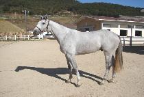 ��罽�� (GOLDEN SLAM) ����