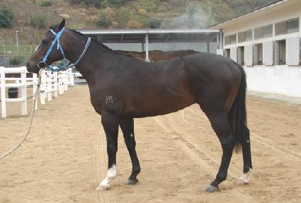 ��忡���׹� ����