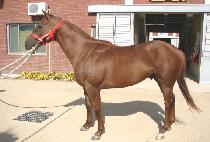 �ΰ��ְ� (BUGYEONG CHOEGANG) ����