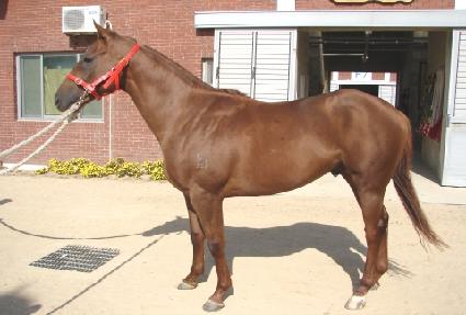 �ΰ��ְ� ����