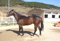 �ƿ������̾ (OUR DESIRES) ����