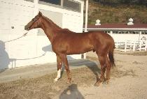 �λ��¾� (BUSAN TAEYANG) ����