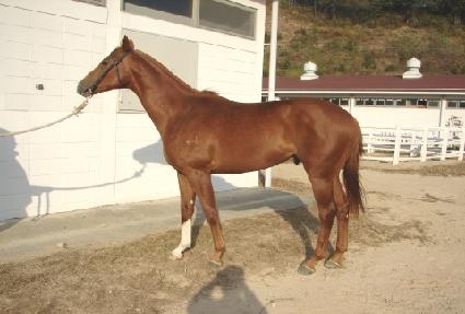 �λ��¾� ����