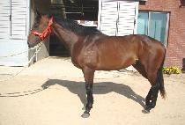 ���� (SANGTU) ����