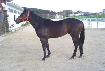 ���̷����� (I LOVE DAD) ����