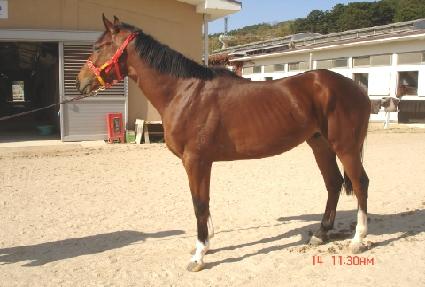 �������� ����