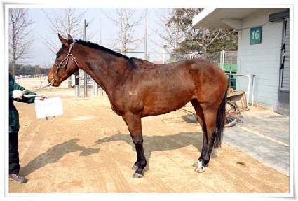 ȭ�������� ����