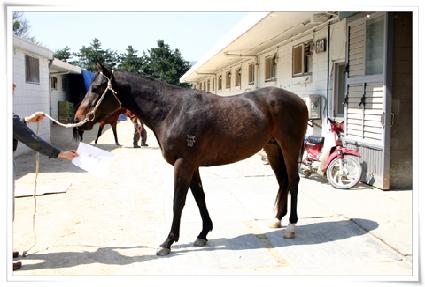 ����� ����