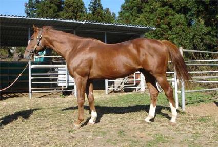 ���̼��̿���� ����