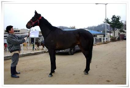 ������������ ����