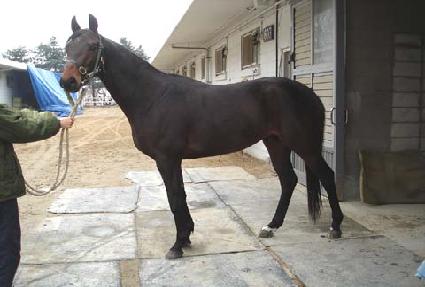 ���� ����