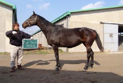 ����Ʈ���� ����