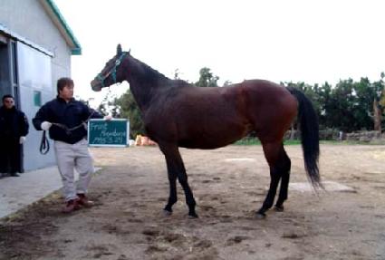 ����Ʈ�Ͼߺλ� ����