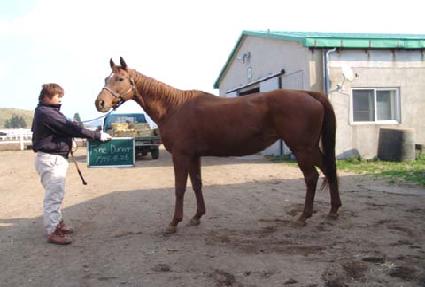 ���δ��� ����