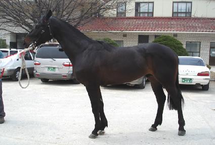 �ؿ��� ����