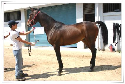 �簡�󹫵�� ����