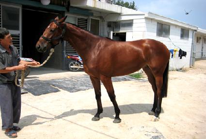 ���ǵ��÷��� ����