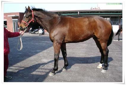 ����� ����