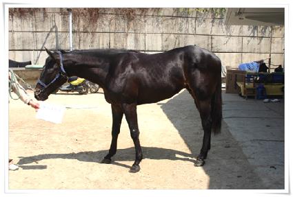 ����Ÿ�̰� ����