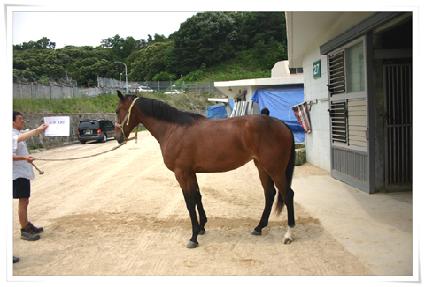 ����Ĺ ����