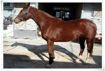 �縶�� (DANGMASAN) ����