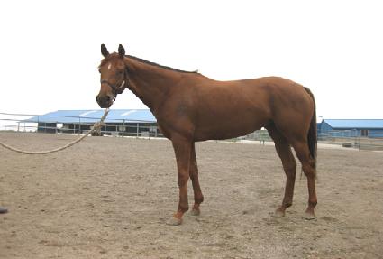 �����䰡���� ����