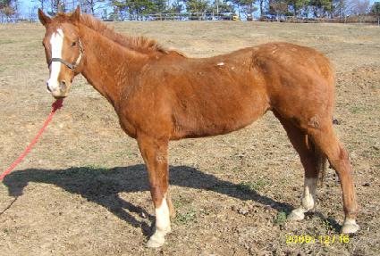 �߸���Ű ����