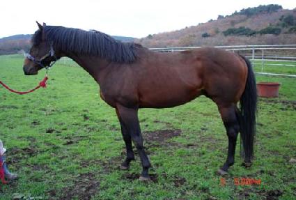 �������ŷ ����