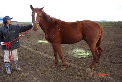 ���Ϸ��帮�񿡶� ����