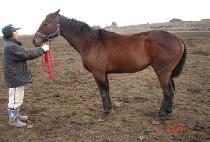 �۽����־� (PERSONAL JEWEL) ����