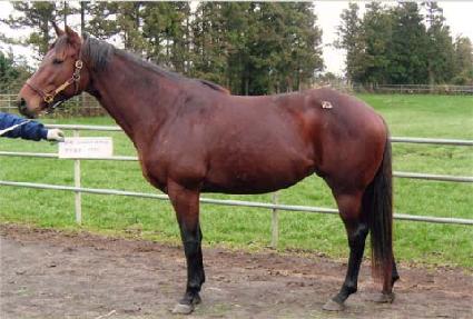 ����ʹ̽� ����