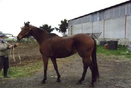 �ű׳������Ʈ ����