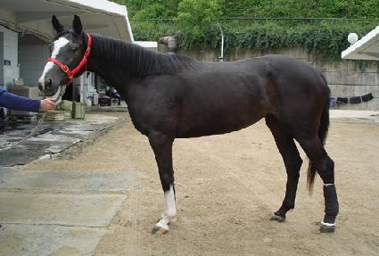 �𷡿��� ����