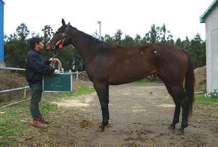 ���̺��־��� ����