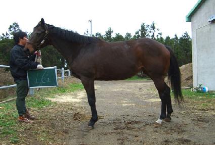 �����Ͼ����ŰƼ ����