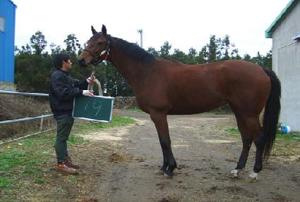 �����ξ����� ����