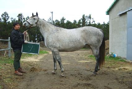 �������̳���Ʈ ����