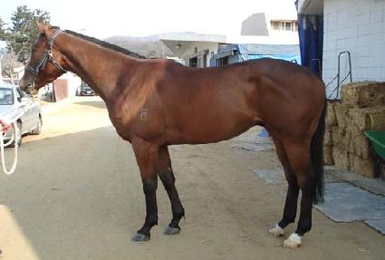 ��õ�Ż� ����