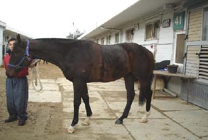 ���ο��� ����