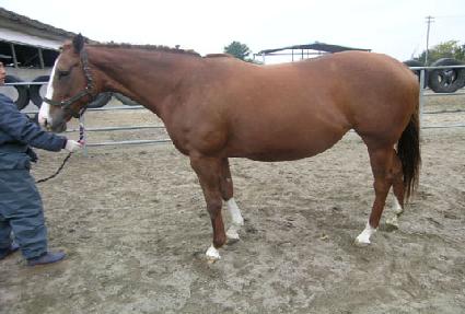 ����ŵ� ����