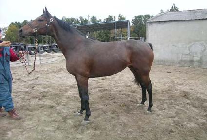 ���丮��ũ ����