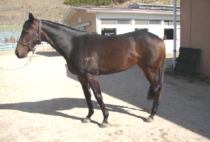 ���� ����