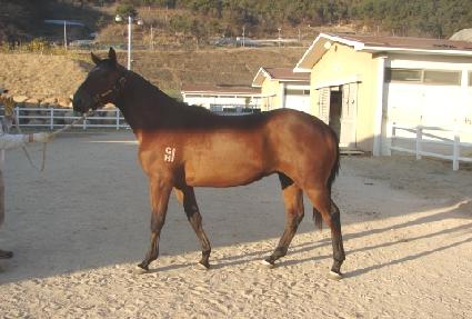 ����¡è�Ǿ� ����