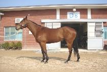 �¸����� (SEUNGNI JEGUK) ����