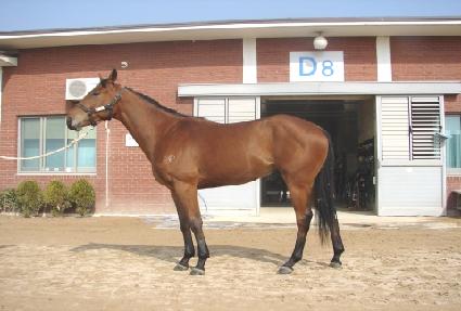 �¸����� ����