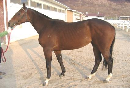 �������� ����