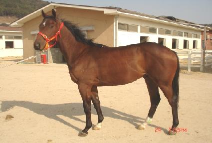 õ�ϼ��� ����