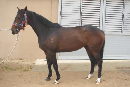 ��Ű�̶�Ŭ ����