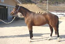 ����Ʈ���� (BEST WINNER) ����