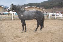 �ΰ���� (BUGYEONG MAENGJU) ����